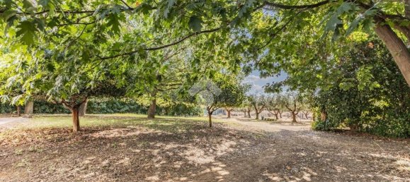 4 bedrooms Villa in Cerveteri, Italy No. 370278 6