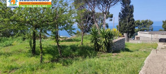 1000m² Land in Anacapri, Italy No. 71760 16