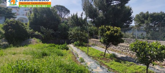 1000m² Land in Anacapri, Italy No. 71760 14