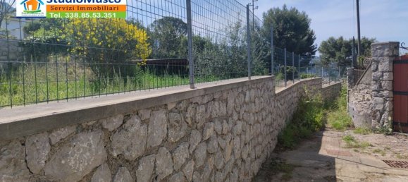 1000m² Land in Anacapri, Italy No. 71760 5