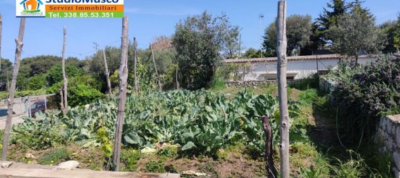 1000m² Land in Anacapri, Italy No. 71760 8