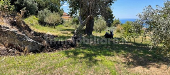 3000m² Land in Paola, Italy No. 343579 7