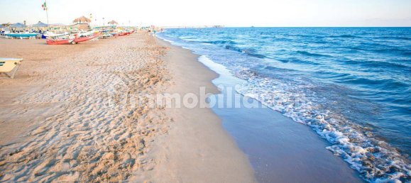 5 bedrooms Villa in Forte dei Marmi, Italy No. 129551 3