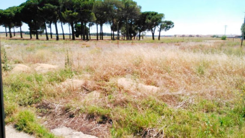 Земельный участок 17360м² в Искар, Испания № 31386