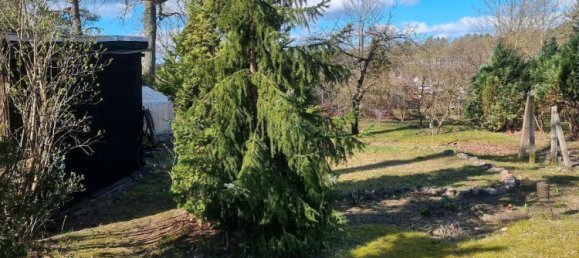 2 chambres Maison à Vorpommern-Greifswald, Germany No. 220552 16