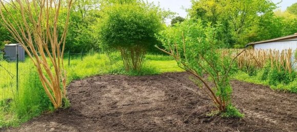 2 bedrooms Townhouse in Buzet-sur-Baise, France No. 309834 7