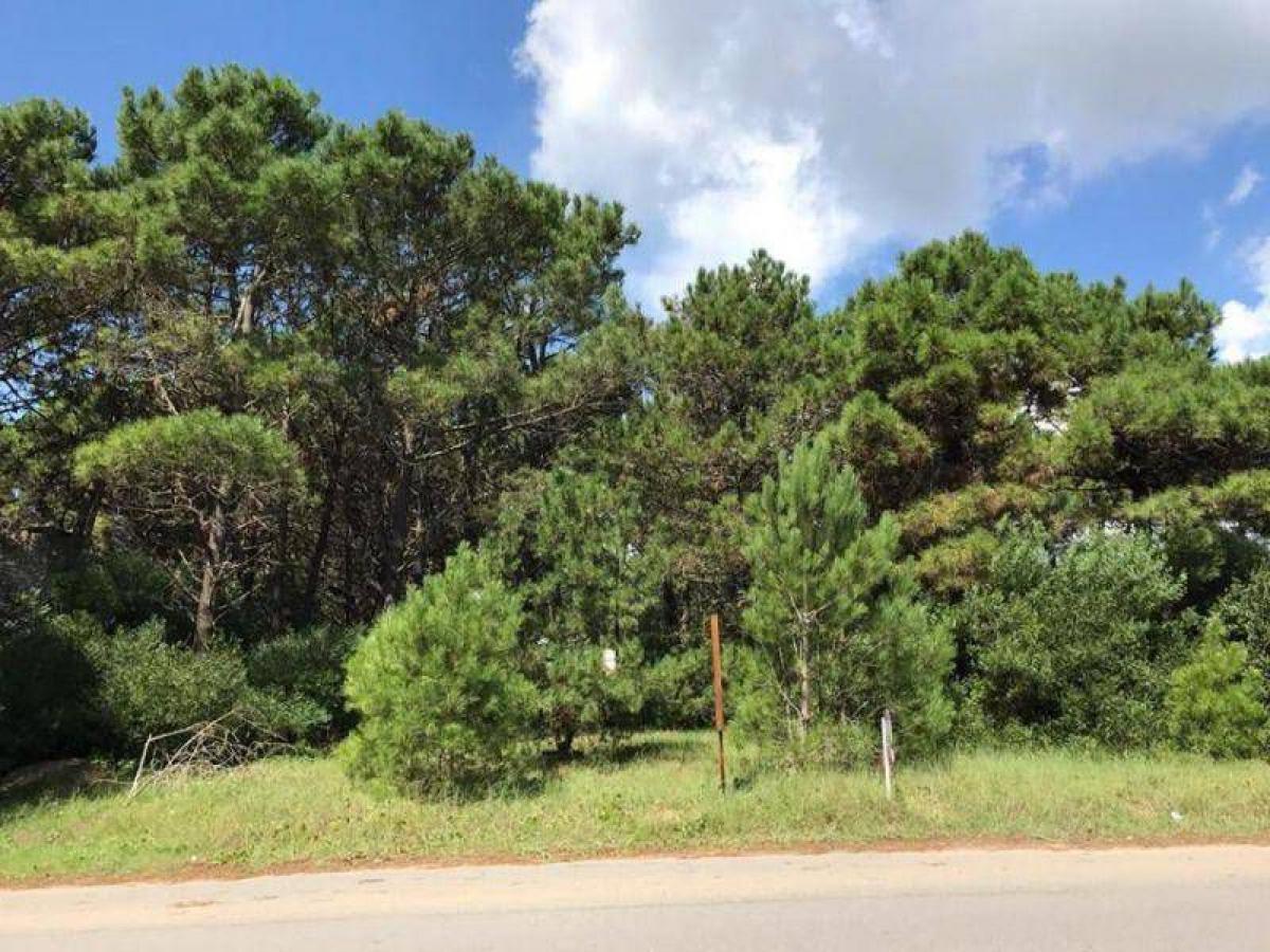 Grundstück in Mar del Plata, Argentina, Nr. 116879