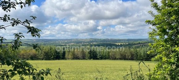 4 bedrooms House in Levignac, France No. 286500 14