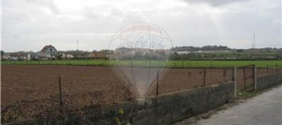 3160m² Land in Ovar, Portugal No. 91139 4