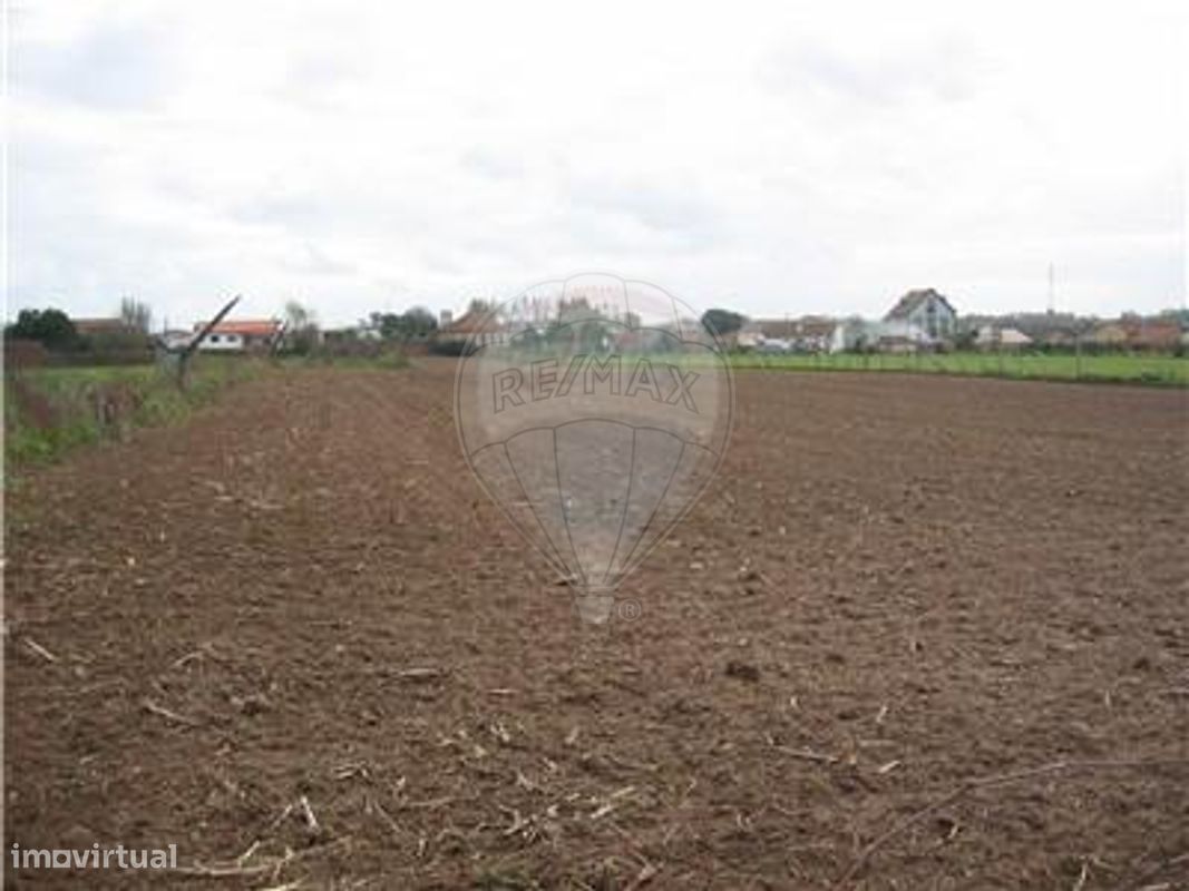 3160m² Land in Ovar, Portugal No. 91139