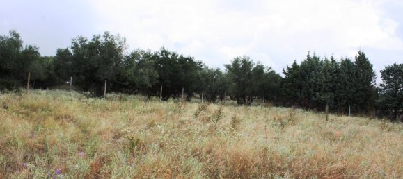 Отель, гостиница 4200м² в Panorama, Греция № 7017 7