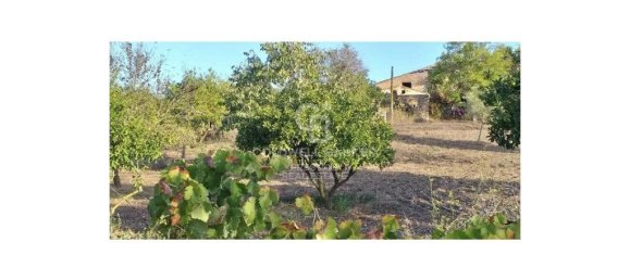 5 bedrooms House in Arta, Spain No. 88211 16