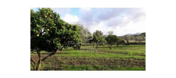 5 bedrooms House in Arta, Spain No. 88211 22