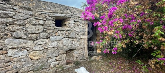 5 bedrooms House in Arta, Spain No. 88211 6