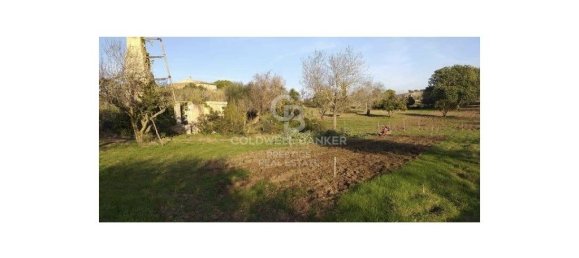 5 bedrooms House in Arta, Spain No. 88211 18