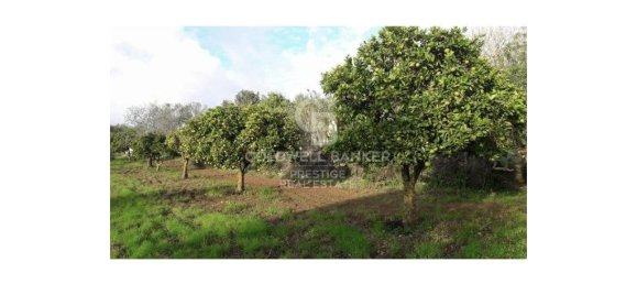 5 bedrooms House in Arta, Spain No. 88211 23