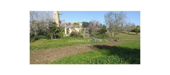 5 bedrooms House in Arta, Spain No. 88211 15