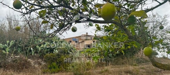 5 bedrooms House in Arta, Spain No. 88211 3