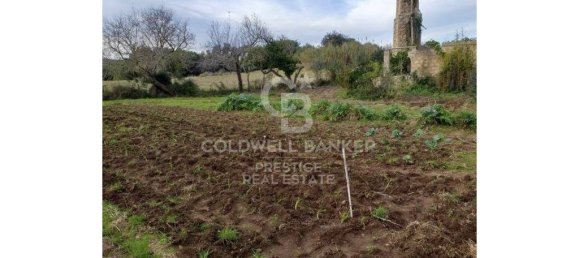 5 bedrooms House in Arta, Spain No. 88211 21