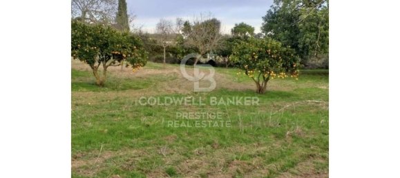 5 bedrooms House in Arta, Spain No. 88211 20