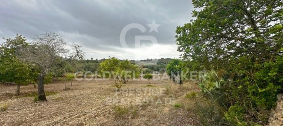 5 bedrooms House in Arta, Spain No. 88211 9