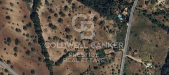 5 bedrooms House in Arta, Spain No. 88211 27