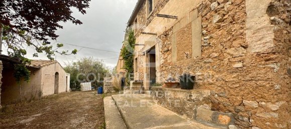 5 bedrooms House in Arta, Spain No. 88211 13