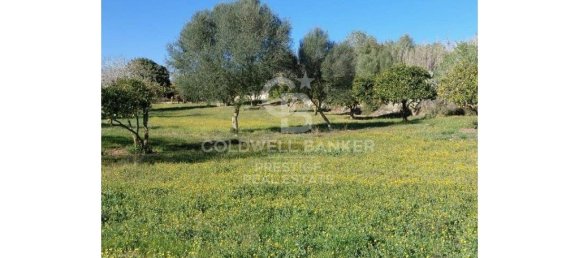 5 bedrooms House in Arta, Spain No. 88211 2