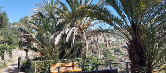 Terreno em Bordighera, Italy 910 m² N.º 125120 49