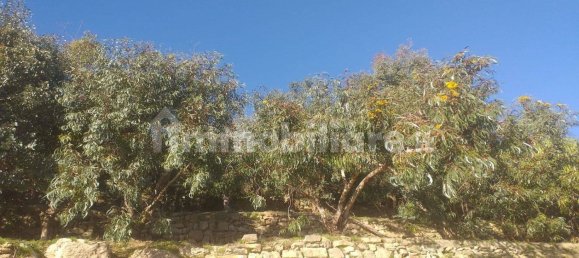 Terreno em Bordighera, Italy 910 m² N.º 125120 41