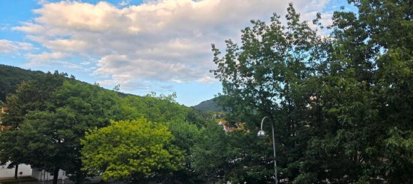 Квартира с 1 спальней в Баден-Баден, Германия № 278166 13