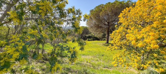 Terreno en Condado del Jaruco, Spain 17000 m² No. 12286 4