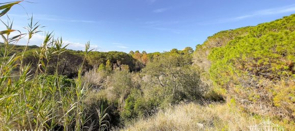 Terreno en Condado del Jaruco, Spain 17000 m² No. 12286 16