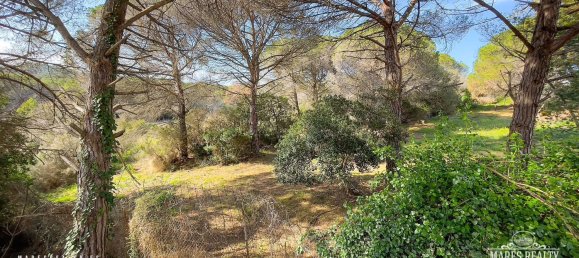 Terreno en Condado del Jaruco, Spain 17000 m² No. 12286 6