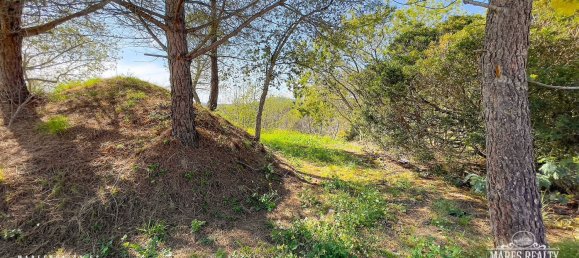 Terreno en Condado del Jaruco, Spain 17000 m² No. 12286 17