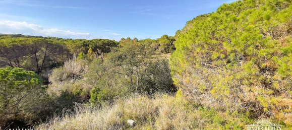 Terreno en Condado del Jaruco, Spain 17000 m² No. 12286 12