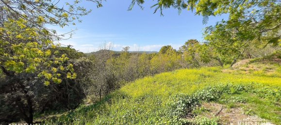 Terreno en Condado del Jaruco, Spain 17000 m² No. 12286 11