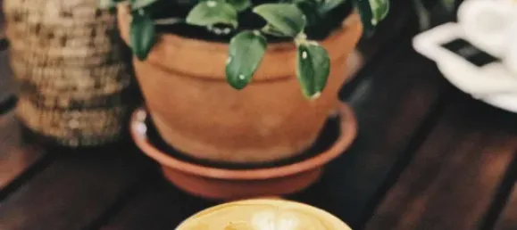  بناية في Konstanz, Germany 387متر مربع رقم 16526 20