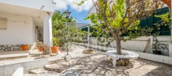 6 bedrooms House in Setubal, Portugal No. 156224 4