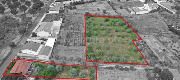 3 bedrooms Castles in Torres Novas, Portugal No. 14470 7