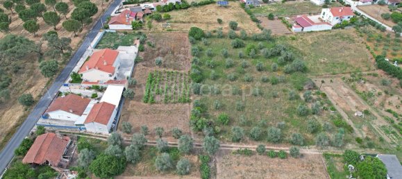 3 bedrooms Castles in Torres Novas, Portugal No. 14470 6