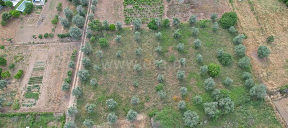 3 bedrooms Castles in Torres Novas, Portugal No. 14470 9