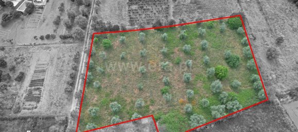 3 bedrooms Castles in Torres Novas, Portugal No. 14470 10