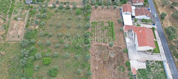 3 bedrooms Castles in Torres Novas, Portugal No. 14470 11