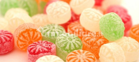 2 rooms Commercial property in Empoli, Italy No. 86180 25