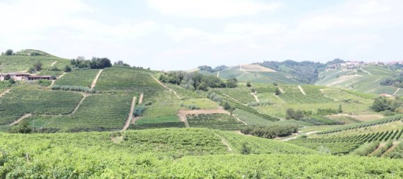 7 bedrooms House in Cisterna d'Asti, Italy No. 56167 45