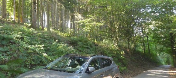 Grundstück in Odenwaldkreis, Germany, Nr. 261988 5