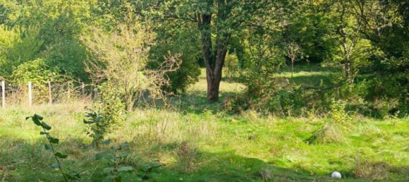 Земельный участок в Мерю, Франция № 87172 3