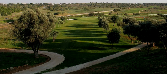 Grundstück in Silves, Portugal, Nr. 126870 7