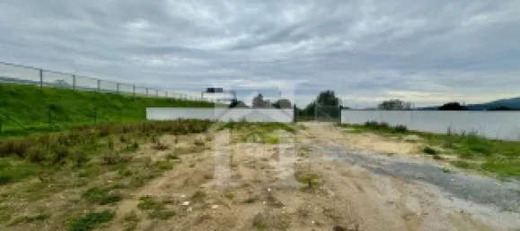 1240m² Land in Cascais, Portugal No. 124398 7